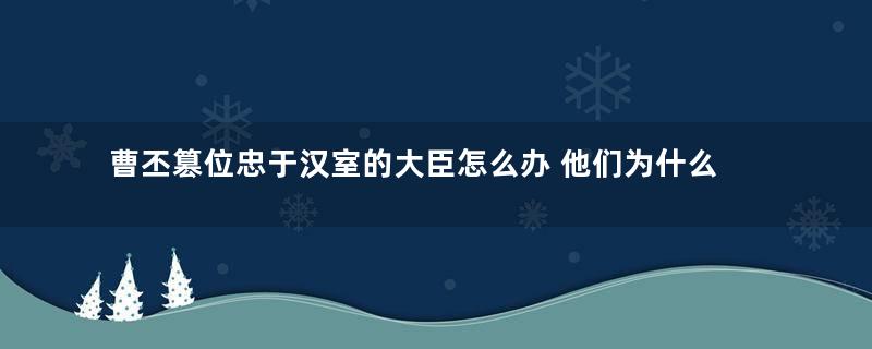 曹丕篡位忠于汉室的大臣怎么办 他们为什么不投奔刘备